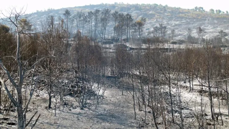 Spaljena zemlja nakon druge neprospavane noći na Braču