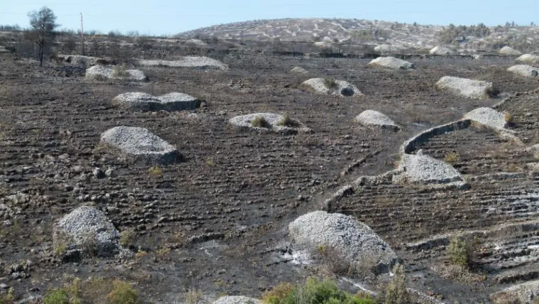 Spaljena zemlja na Braču