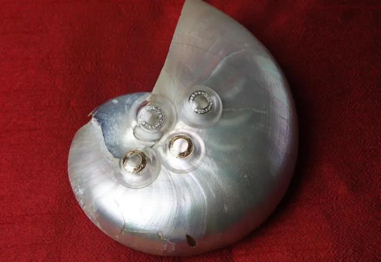 Pogled od zlata i dijamanata