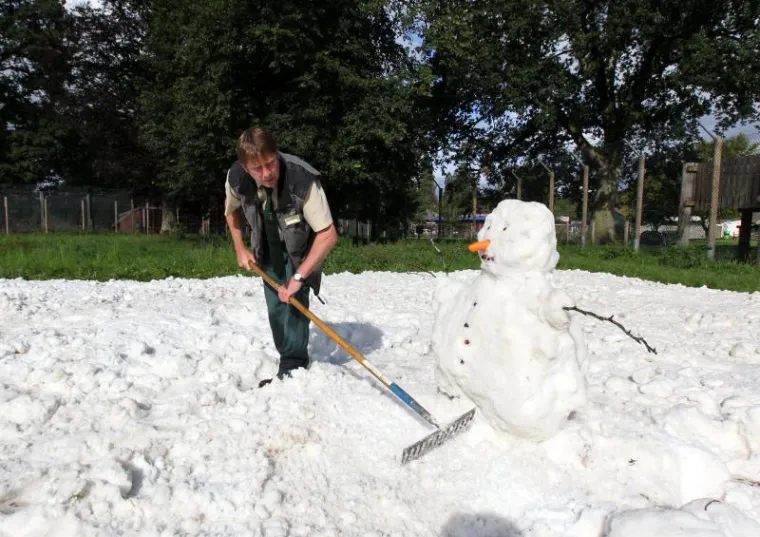 Čudesna ljubav tigra i snjegovića