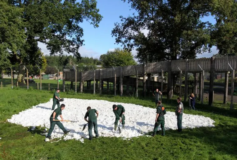 Čudesna ljubav tigra i snjegovića
