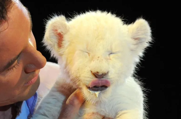 Jeste li ikad vidjeli slađe stvorenje?