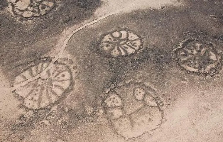 Tajanstveni crteži od kamenja stvorili su se sami od sebe, a može ih se primijetiti na tlu Sirije, Jordana i Saudijske Arabije. Procjenjuje se kako su nastali prije 2000 godina, no ne zna se koje im je značenje.