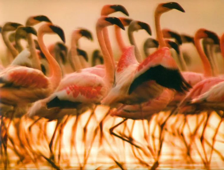 Prekrasne scene podno Božanske planine
