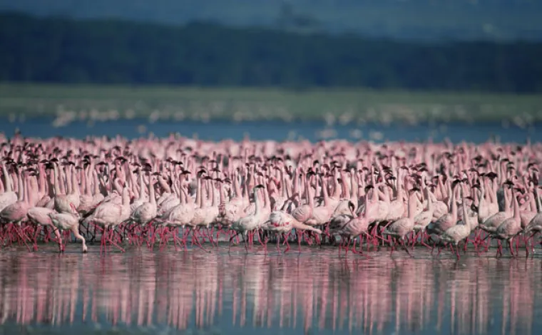 Prekrasne scene podno Božanske planine