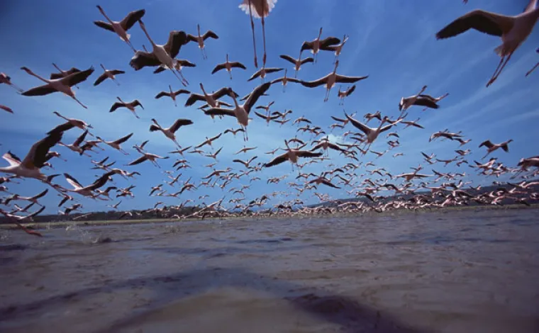 Prekrasne scene podno Božanske planine