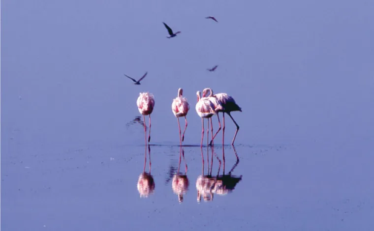Prekrasne scene podno Božanske planine
