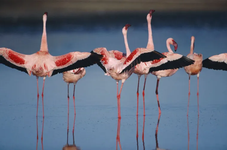 Prekrasne scene podno Božanske planine