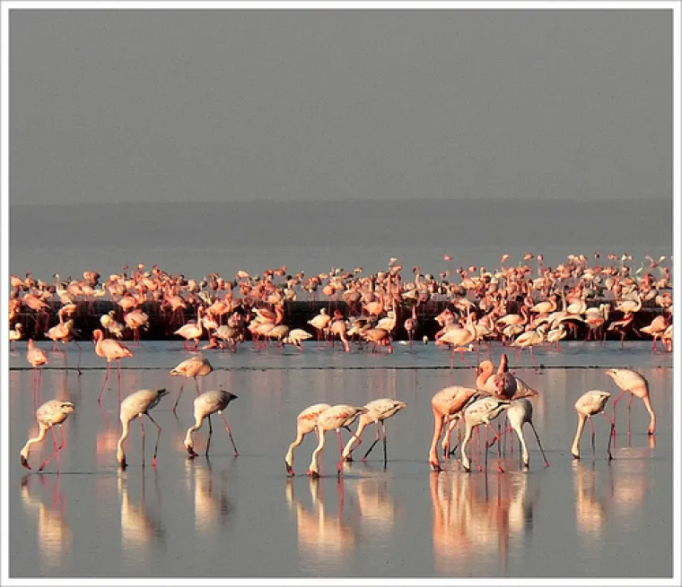 Prekrasne scene podno Božanske planine