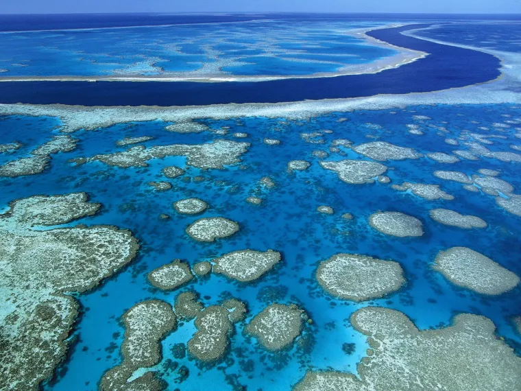Great Barrier Reef - Australija