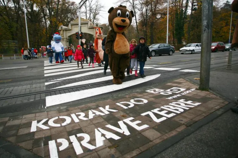 U Maksimiru osvanula posebna 'zebra'