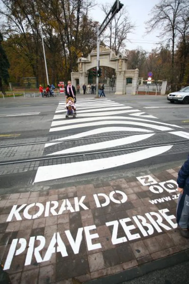 U Maksimiru osvanula posebna 'zebra'