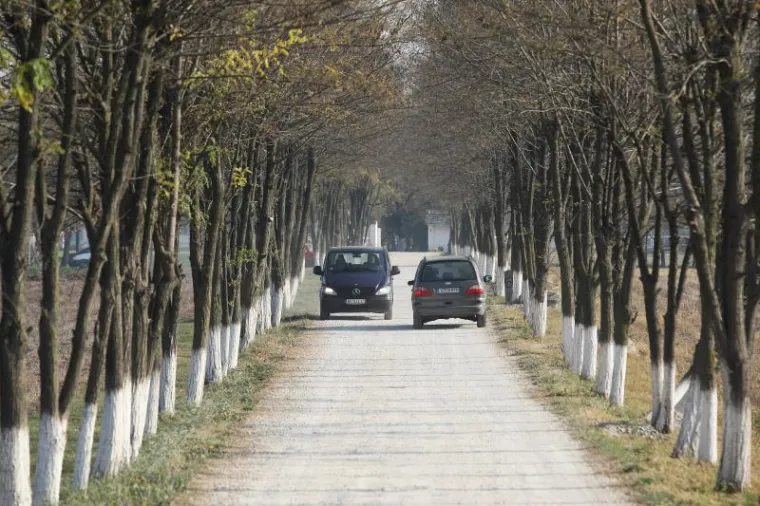 Kako će izgledati luksuzno imanje Severine i Milana?