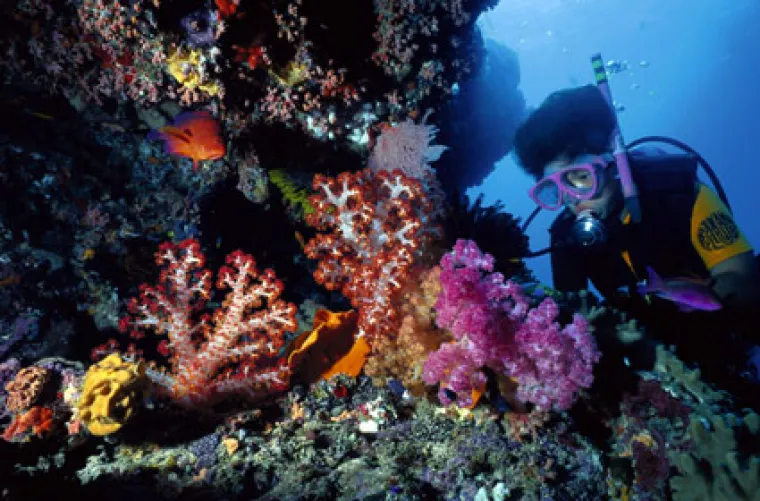 Australsko čudo prirode postaje najveći za&scaron;tićeni park