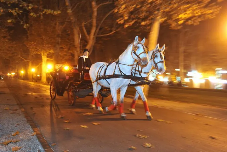 Čarobne prosinačke noći u Zagrebu