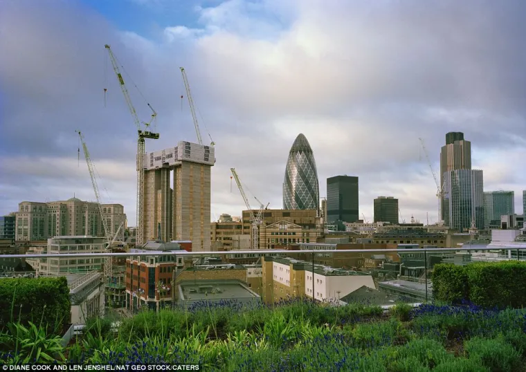 Najljepši vrtovi nalaze se na krovovima zgrada!