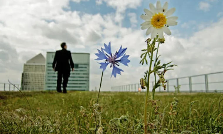 Najljepši vrtovi nalaze se na krovovima zgrada!
