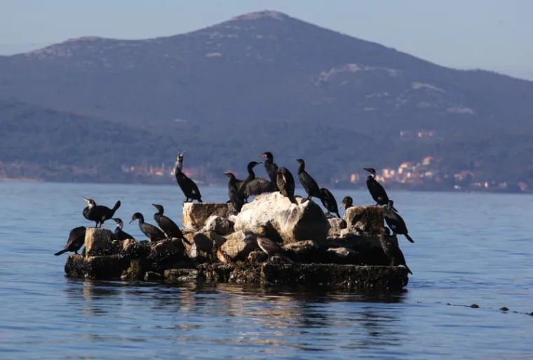 Hrvati iskoristili sunčan dan i pohrlili na ulice