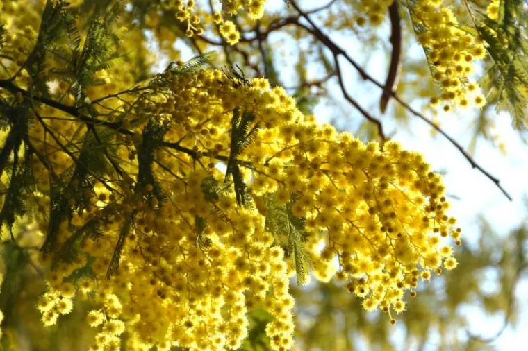 U utorak ujutro počelo je godi&scaron;nje doba u kojem se cijela priroda 'budi' iz zimskog sna.