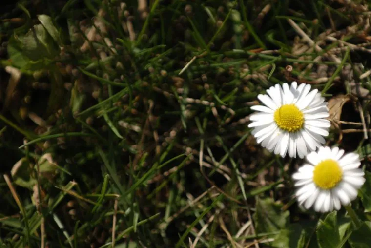 Proljeće stiglo u Hrvatsku
