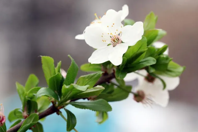 Proljeće stiglo u Hrvatsku