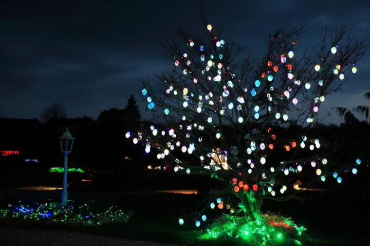 'Uskrsna priča' obitelji Salaj