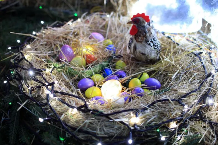 'Uskrsna priča' obitelji Salaj