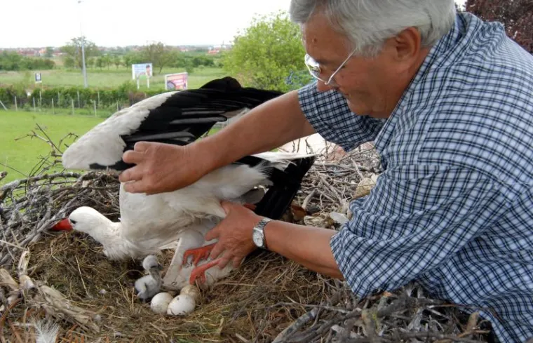 Klepetan i njegova Malena postali roditelji