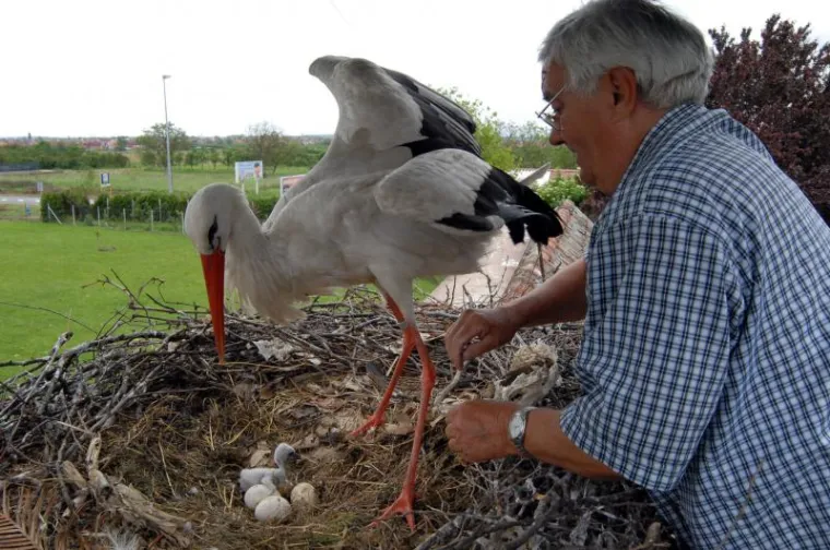Klepetan i njegova Malena postali roditelji