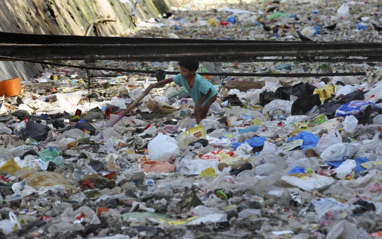 Dan planeta Zemlje u Indiji