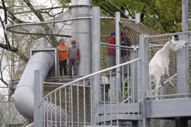 Zoolo&scaron;ki vrt napravljen sa svim sadržajima potrebnim za djecu kako bi djeci bilo &scaron;to zabavnije, a da pritom budu &scaron;to biliže životinjama