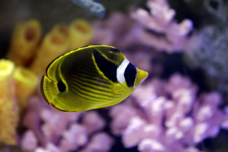 Zoolo&scaron;ki vrt za djecu u Philadelphiji