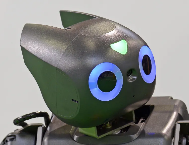 RoboCup GermanOpen 2013