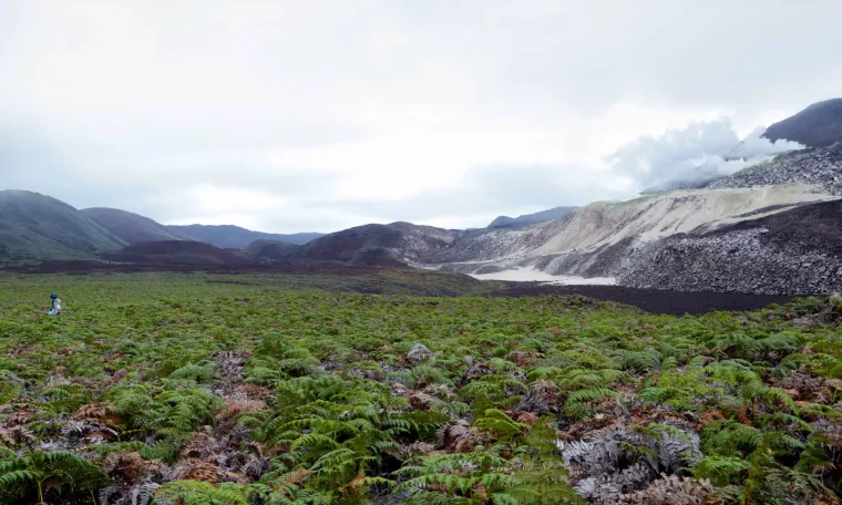 Google Maps ekipa snimala je Galapagos i njegovo podmorje