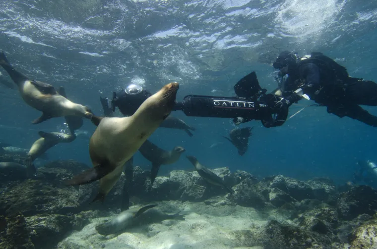 Google Galapagos Street View