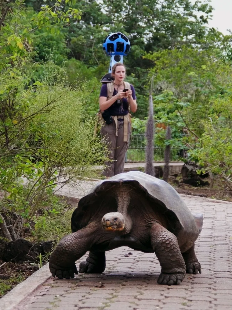 Google Galapagos Street View