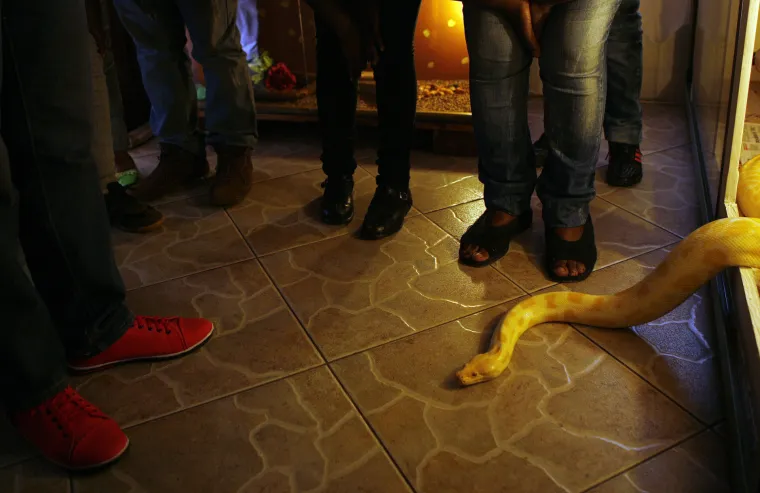 Majka i kćer prezentiraju zmije koje drže kao kućne ljubimce