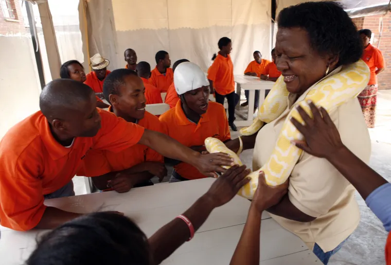 Soweto Snake Show