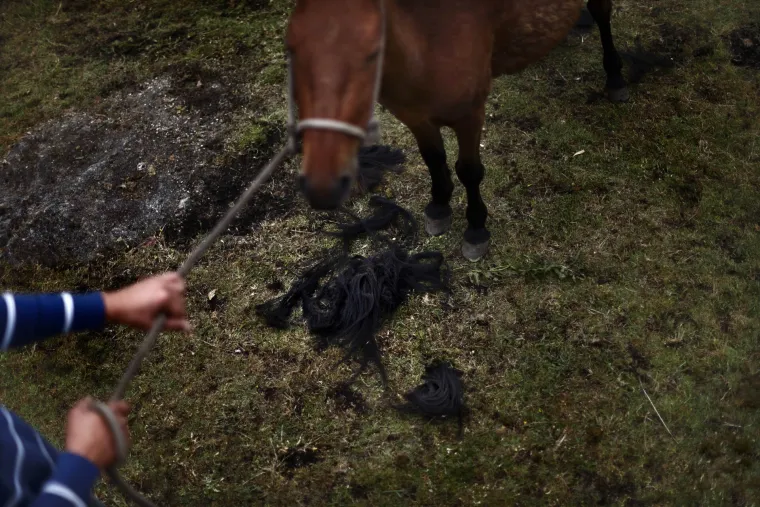 Rapa das bestas ili "Šišanje zvijeri" je tradicionalni festival koji datira još iz 15. stoljeća