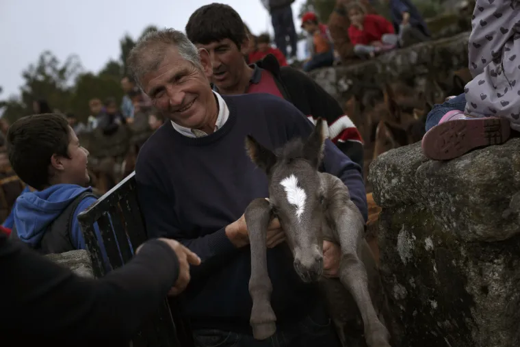 Festival konja u Španjolskoj