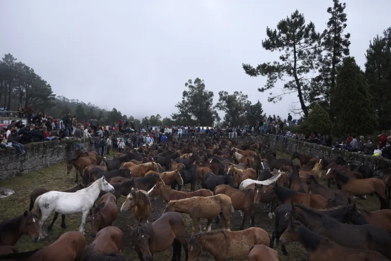 Festival konja u Španjolskoj