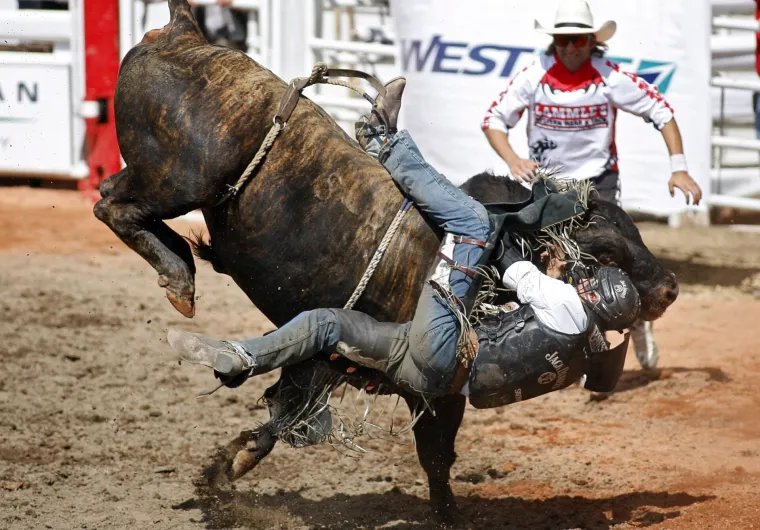 Tradicionalni turnir u jahanju divljih bikova i divljih konja.