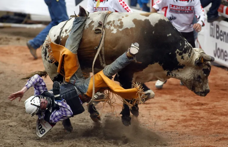 Stampede rodeo u Calgariu