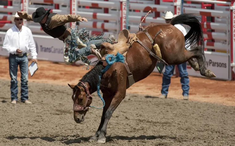 Stampede rodeo u Calgariu