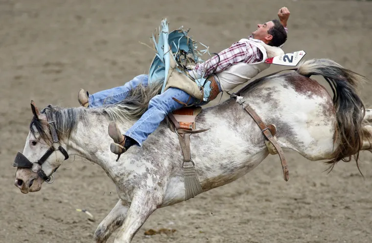 Stampede rodeo u Calgariu