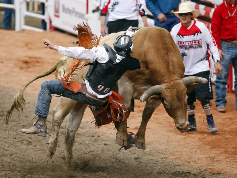 Stampede rodeo u Calgariu