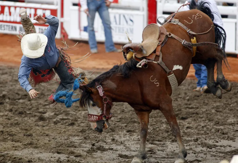 Stampede rodeo u Calgariu