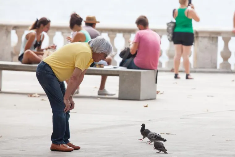 &Scaron;ef Formule 1 po Dubrovniku naganjao - golubove