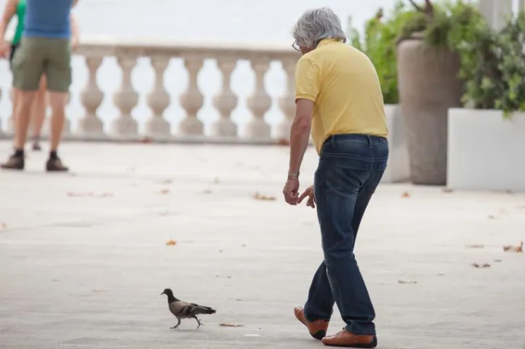 &Scaron;ef Formule 1 po Dubrovniku naganjao - golubove