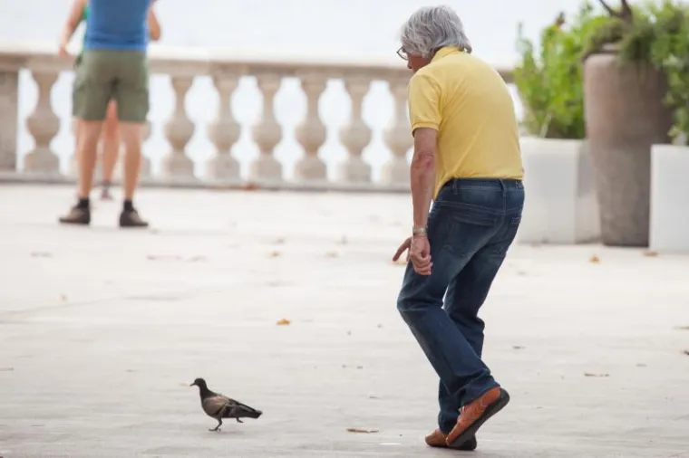 &Scaron;ef Formule 1 po Dubrovniku naganjao - golubove